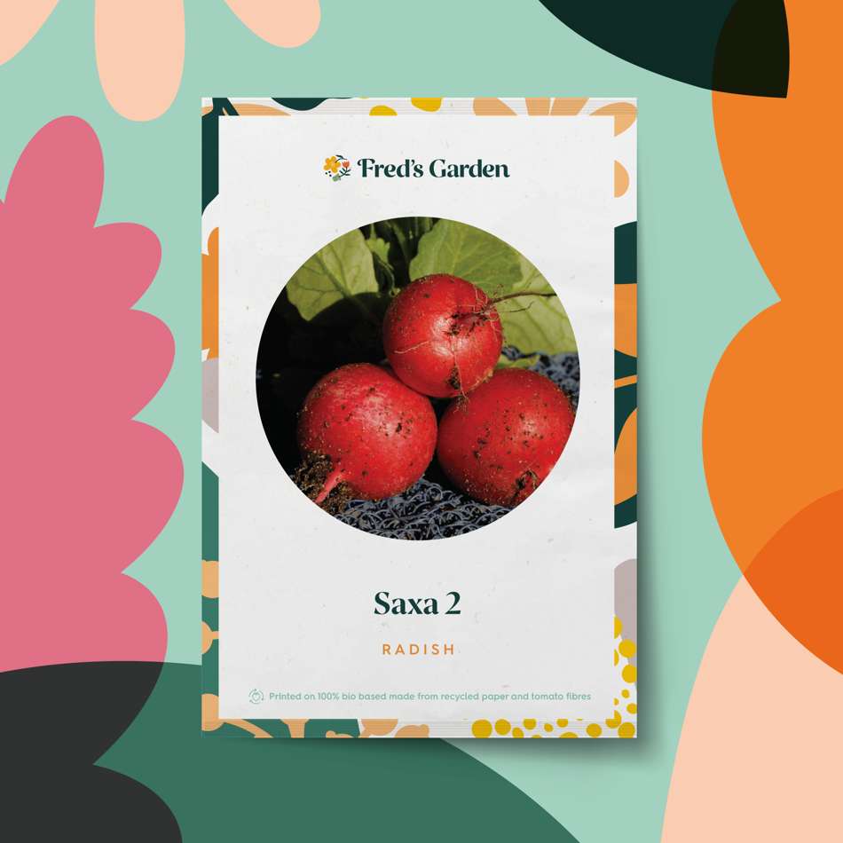 Rädisa 'Saxa 2' (frö)